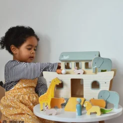 Big Jigs Noah's Ark