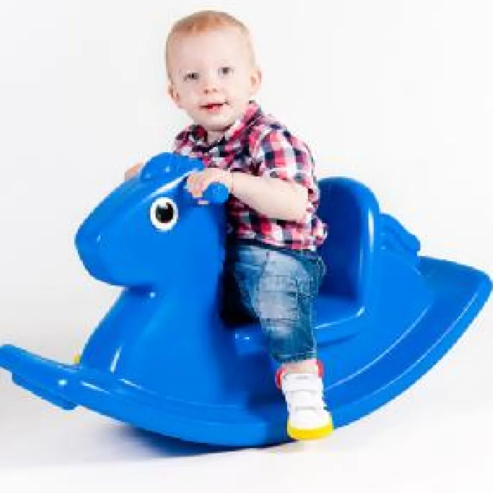 Little Tikes Rocking Horse Blue