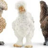 Schleich Chicken / Hen Friends Set