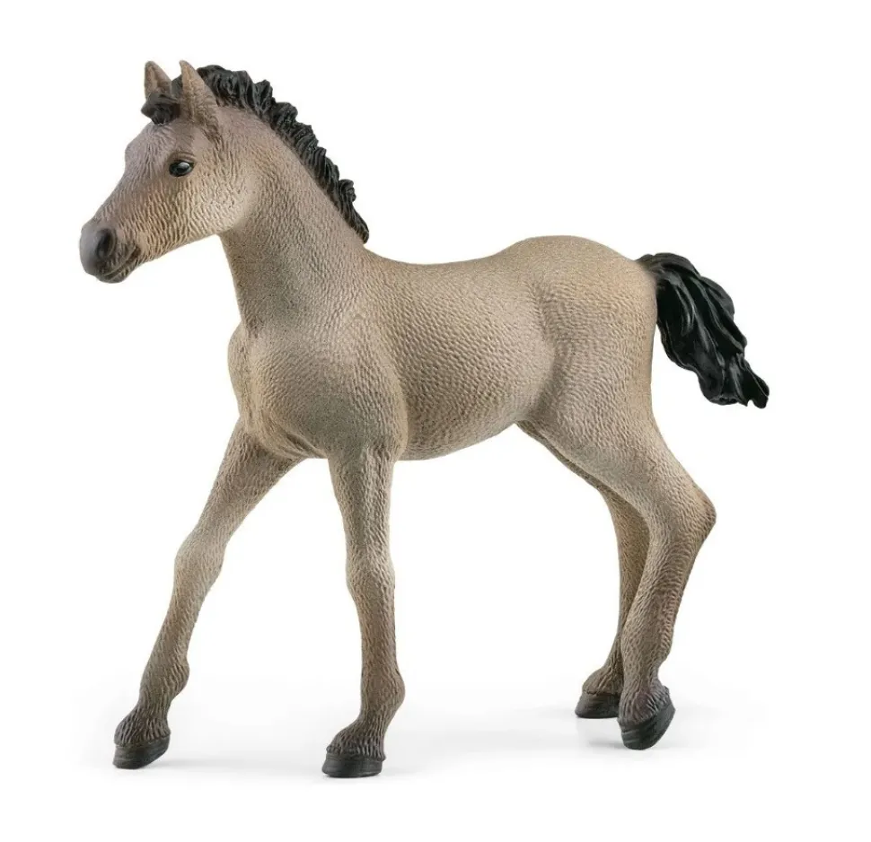 Schleich Criollo Definitivo Foal