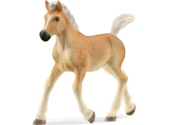 Schleich Haflinger Foal Horse